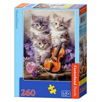 260 dalių muzikinių kačiukų dėlionė