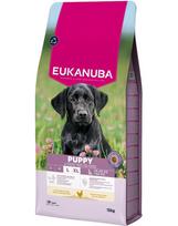 EUKANUBA Puppy Large Breeds Chicken 15 kg sausas maistas didelių veislių šuniukams, turintis šviežio vištienos