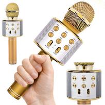Belaidis karaoke mikrofonas su garsiakalbiu