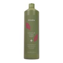 Šampūnas dažytiems plaukams Echosline Colour Care Shampoo, 1000 ml