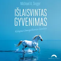 Audio Išlaisvintas gyvenimas. Kitapus žmogiškosios lemties - Michael A. Singer