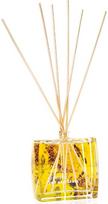Namų kvapas su lazdelėmis AMBER STRINGS Sea&stars,100 ml