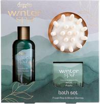 Vonios rinkinys dovanų dėžutėje WINTER SPA: dušo želė 100 ml, vonios druska 80 g, masažo šepetys iš medžio, kvapas: gaivi pušis ir žiemos uogos