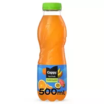 Sulčių gėrimas CAPPY ICE FRUIT MULTIFRUIT, 500 ml