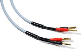 Kabel Melodika Banan x2 - Banan x2 6m szary | 05907609003317 | 05907609003317
