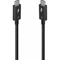 Lindy Lindy 31130 kabel Thunderbolt 1 m 80Gbit/s Black | 31130 | 4002888311304