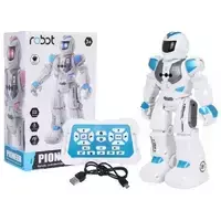 Daugiafunkcis robotas MINIMAL 02