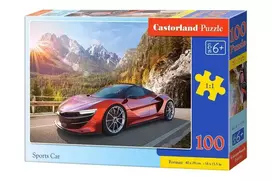 Dėlionė 100 vienetų sportinis automobilis