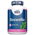 Haya Labs Boswellia (Pluoštinių biosvelijų ekstraktas) 100 kaps.