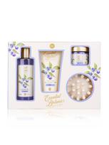 ACCENTRA Kalėdinis kosmetikos rinkinys: mėlynių aromato dušo gelis (150 ml), kūno losjonas (90 ml), vonios druska (80 g) ir masažinis šepetėlis