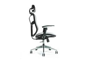Ergonomiškas biuro kėdė ERGO 500 grey | JNS-521 GREY | 5903558003293