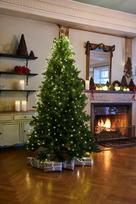 Kalėdinės eglutės lemputės Sirius Sirius Anni Tree, H2,1m+5m, 273L, green | 61611 | 5707310616116