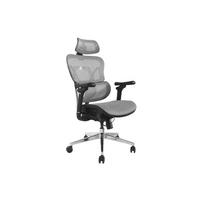 Equip ergonominė biuro kėdė su galvos/porankių atramomis pilka lite Retail | 651050 | 4015867238615