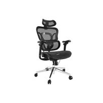Equip ergonominė biuro kėdė su galvos/porankių atramomis Black lite Retail | 651051 | 4015867238622