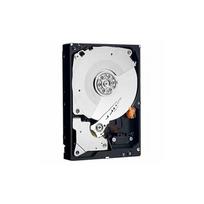 Dell HD 3T NL6 7.2K 3.5 H-MKP E/C | HD 3T NL6 7.2K 3.5 H-MKP E/C | 5712505366509
