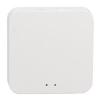 Išmaniųjų spynų 2.4G WiFi vartai Bluetooth programėlės nuotolinio valdymo vartai Išmanusis centras namams