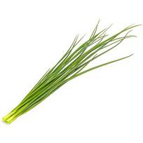 Click & Grow Smart Garden Refill Green onion 3pcs SGR105X3