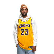 Nike NBA Los Angeles Lakers Icon Swingman