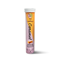 Tea-Pop Caramel karamelės arbatos ledinukas