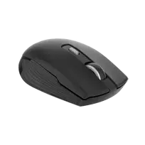 Belaidė pelė DELTACO, USB-C + BT 5.1 / MS-813