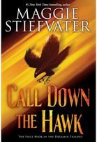 Call Down the Hawk (The Dreamer Trilogy, Book 1)