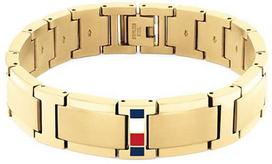 Tommy Hilfiger Auksuota madinga plieninė apyrankė Jameson 2790658