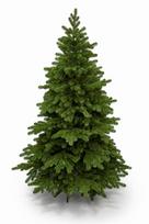 Dirbtinė kalėdinė eglutė tatra fir 100% pe, 200 cm