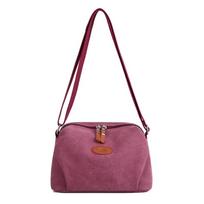 Ladies Casual Crossbody Bags for Women Messenger Bag 2024 Winter Female Small Canvas Clutch Purses Shoulder Bags KTY 26X17X11CM violetinė