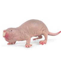 Kietas modeliavimas, plikasis kurmis, laukinis gyvūnas, modelis, žiurkė, džiunglių dygliuota grupė, kurmio modelis, žaislas, smėlio stalo papuošalai