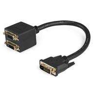 StarTech.com 30cm (1 ft) DVI- D to 2x DVI- D Digital Video Splitter Cable - M/F~1 ft DVI- D to 2x DVI- D Digital Video Splitter Cable - M/F