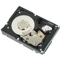Dell WD - Festplatte - 2TB - intern - 3.5 (8,9 cm) - SAS 6Gb/s - 7200 U/min - für PowerVault MD3200, MD3200i, MD3600f (YY34F)