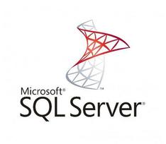 MS OVL SQL Svr Std Core SA 2Lic ADD 1Y2Y [NL]
