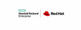 Hewlett Packard Enterprise Red Hat Enterprise Linux Server - Standardabonnement (5 Jahre) + 5 Jahre 24x7-Support - 2 Anschlüsse, 4 Gäste - ESD (Q0D22AAE)