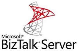 MS OVL BizTalk Svr Std Core 2Lic SA ADD 1Y1Y [NL]
