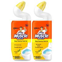 Mr Muscle tualeto valiklis