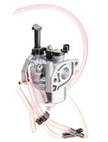 Karbiuratorius Briggs & Stratton – 311392GS