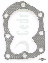 Cilindro galvutės tarpinė Briggs & Stratton OEM 272536S – 698717