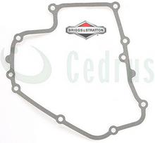 Karterio tarpinė Briggs & Stratton – 793445
