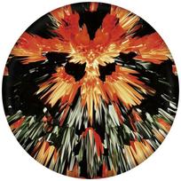 Waboba Frisbee Wingman Pro disk, silicone, 20cm (Product in several colors - random shipment)