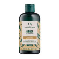 THE BODY SHOP GINGER ANTI-DANDRUFF plaukų šampūnas, 250 ml