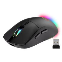 Bel wireless 2-in-1 pelė (BT/RF) TYLI & ĮKRAUNAMA MT1124