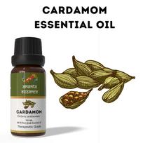 Ananta kardamono eterinis aliejus 10 ml | Aštriai saldus aromatinis aliejus | Naudoti difuzoriuje ir namų kvapui Volume=10ml