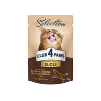 CLUB 4 PAWS Premium plus gabalėliai suaugusioms katėms su silke ir strimelėmis drebučiuose 12x85 gr - 12x80 gr