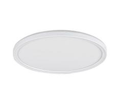 Rabalux 3428 - Dimeriuojamas LED lubų šviestuvas PAVEL LED/22W/230V