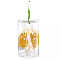 Mango Sponge Mini Makiažo kempinėlė 2vnt