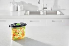 FoodSaver vakuuminis indas FFC023X