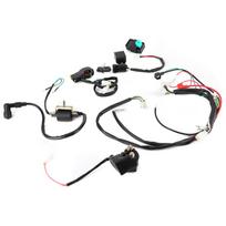Elektrinio paleidimo variklio laidų rinkinys tinka 50cc 110cc 125cc PIT keturračiams, purviniems motociklams, keturračiams balta