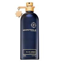 Montale Blue Amber Eau De Parfum 100ml nišiniai kvepalai Unisex
