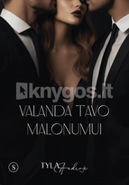 Valanda tavo malonumui - Tyla Audroje