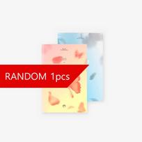 BTS 4-asis mini albumas Hwayangyeonhwa pt.2 [Persikų / mėlyna] RANDOM 1PCS